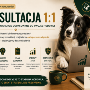 Konsultacja 1:1 dla hodowców psów