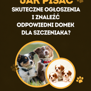 Jak pisać skuteczne ogłoszenia i znaleźć odpowiedni domek dla szczeniaka? 2.0