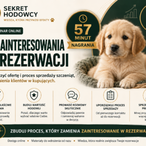 Od zainteresowania do rezerwacji – jak stworzyć ofertę i proces sprzedaży szczeniąt, który zamienia klientów w kupujących